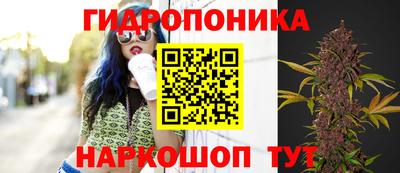 стаф Изобильный