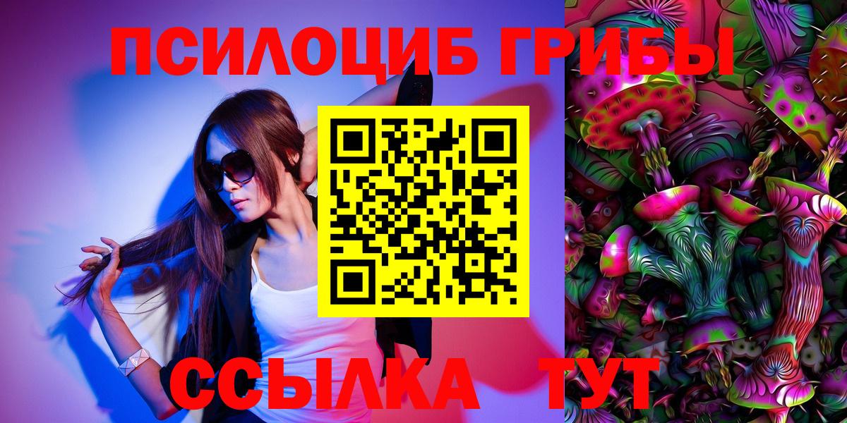 Псилоцибиновые грибы Psilocybe Моршанск